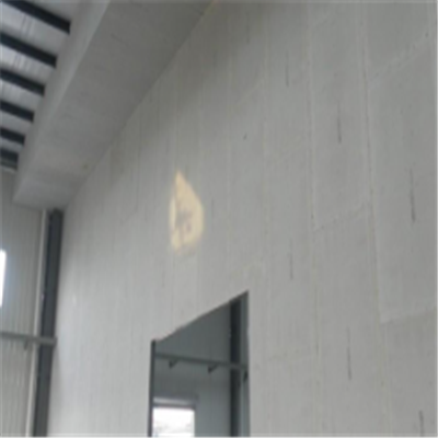 云城宁波ALC板|EPS加气板隔墙与混凝土整浇联接的实验研讨